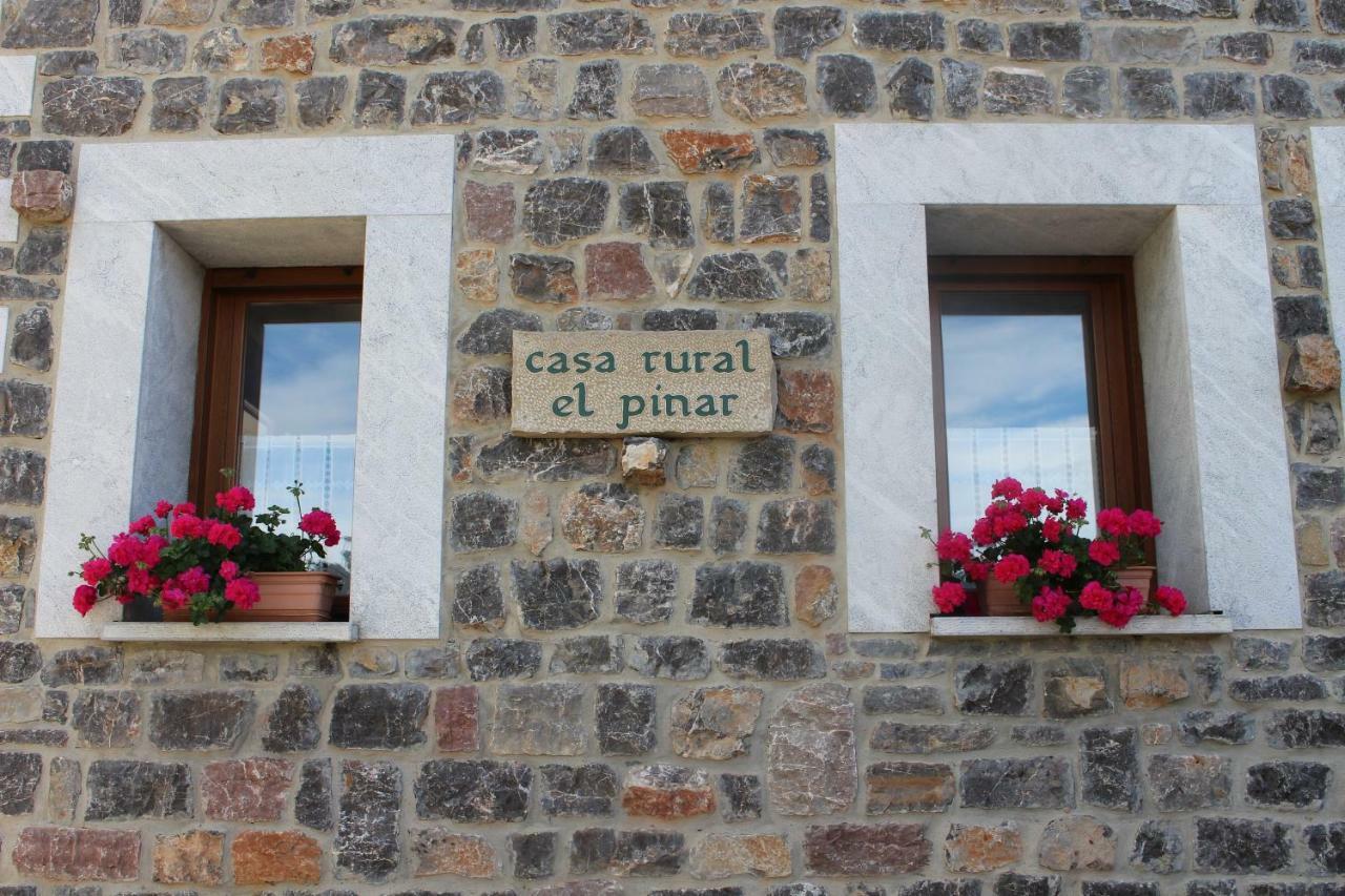 Acebedo Casa Rural El Pinar旅馆 外观 照片